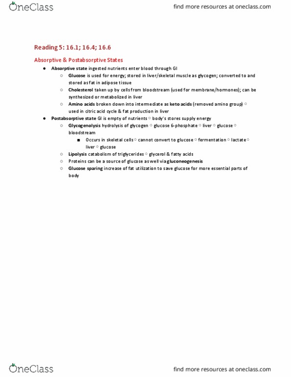 CAS BI 315 Chapter Notes - Chapter 16.1; 16.4; 16.6: Basal Metabolic Rate, Homeothermy, Lipolysis thumbnail